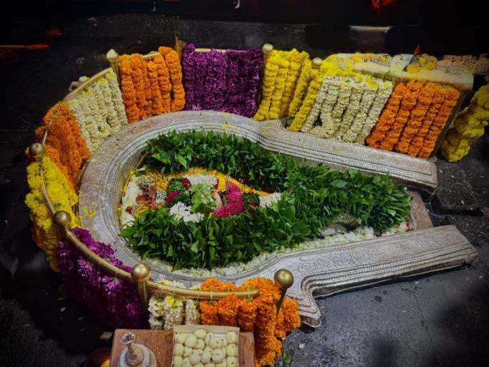 Har Har Mahadev! 2 lakh devotees had darshan of Shivlinga at Shri Kshetra Bhimashankar | हर हर महादेव! श्री क्षेत्र भीमाशंकर येथे २ लाख भाविकांनी घेतले शिवलिंगाचे दर्शन