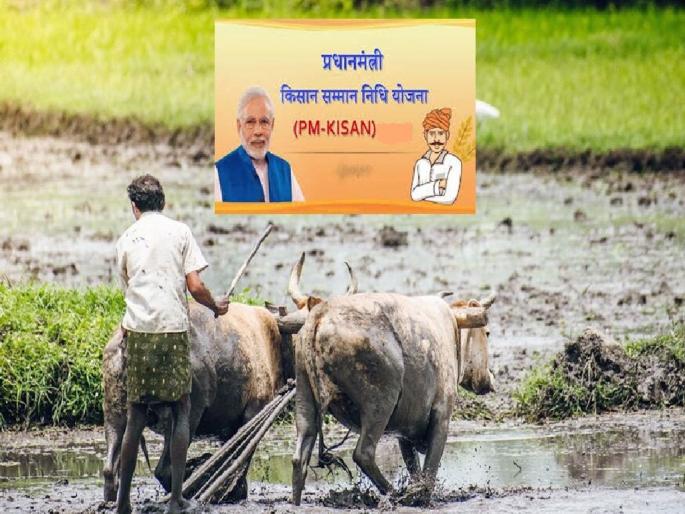 Farms of 17 thousand account holders have disappeared, the situation was revealed while filling information on the portal | १७ हजार खातेदारांची शेतीच गायब, पोर्टलवर माहिती भरताना उघड झाला प्रकार Farms of 17 thousand account holders have disappeared, the situation was revealed while filling information on the portal | १७ हजार खातेदारांची शेतीच गायब, पोर्टलवर माहिती भरताना उघड झाला प्रकार