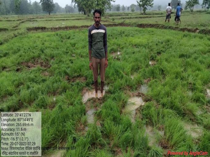 The herd of elephants did not go back, the farmers did not feel at ease! | हत्तीचा कळप परत जाईना, शेतकऱ्यांना चैन पडेना; खरीप हंगामाला मुकण्याची वेळ The herd of elephants did not go back, the farmers did not feel at ease! | हत्तीचा कळप परत जाईना, शेतकऱ्यांना चैन पडेना; खरीप हंगामाला मुकण्याची वेळ