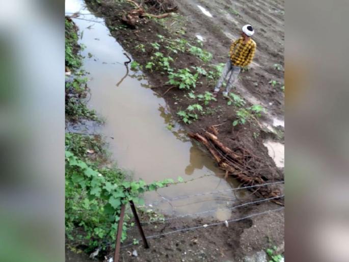 Six Mandals hit by heavy rains in Amravati District; Lands were scrapped, dams burst | सहा मंडळाला अतिवृष्टीचा तडाखा; जमिनी खरडल्या, बांध फुटले Six Mandals hit by heavy rains in Amravati District; Lands were scrapped, dams burst | सहा मंडळाला अतिवृष्टीचा तडाखा; जमिनी खरडल्या, बांध फुटले