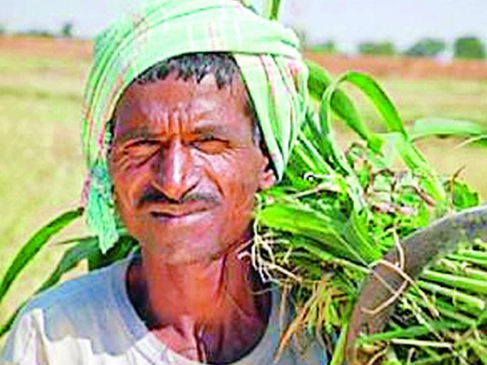 Remove obstacles in 'PM Kisan' | ‘पीएम किसान’मधील अडसर दूर Remove obstacles in 'PM Kisan' | ‘पीएम किसान’मधील अडसर दूर