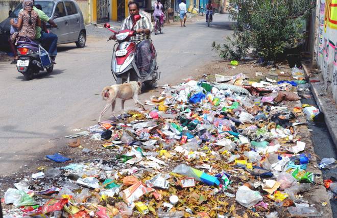 Penalty for putting garbage in public place | कचरा सार्वजनिक ठिकाणी टाकल्यास दंड Penalty for putting garbage in public place | कचरा सार्वजनिक ठिकाणी टाकल्यास दंड