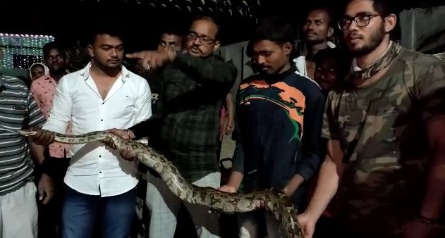The snake escaped from the clutches of the villagers | गावकऱयांच्या तावडीतून अजगराची केली सुटका The snake escaped from the clutches of the villagers | गावकऱयांच्या तावडीतून अजगराची केली सुटका