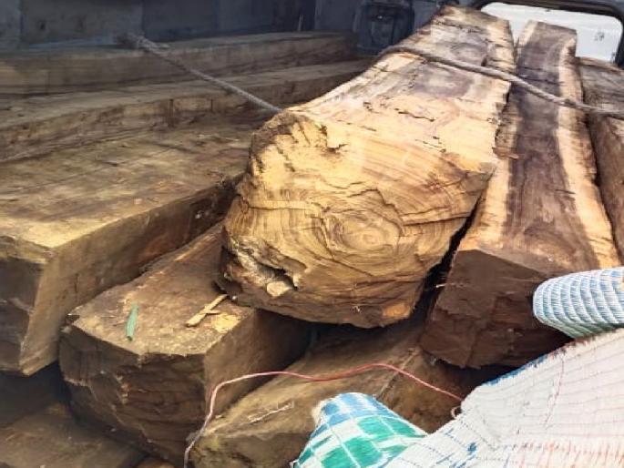 Starred question in Assembly on illegal teak smuggling; Mention of Paratwada, Bahiram, Melghat | अवैध सागवान तस्करीवर विधानसभेत तारांकित प्रश्न; परतवाडा, बहिरम, मेळघाटचा उल्लेख Starred question in Assembly on illegal teak smuggling; Mention of Paratwada, Bahiram, Melghat | अवैध सागवान तस्करीवर विधानसभेत तारांकित प्रश्न; परतवाडा, बहिरम, मेळघाटचा उल्लेख