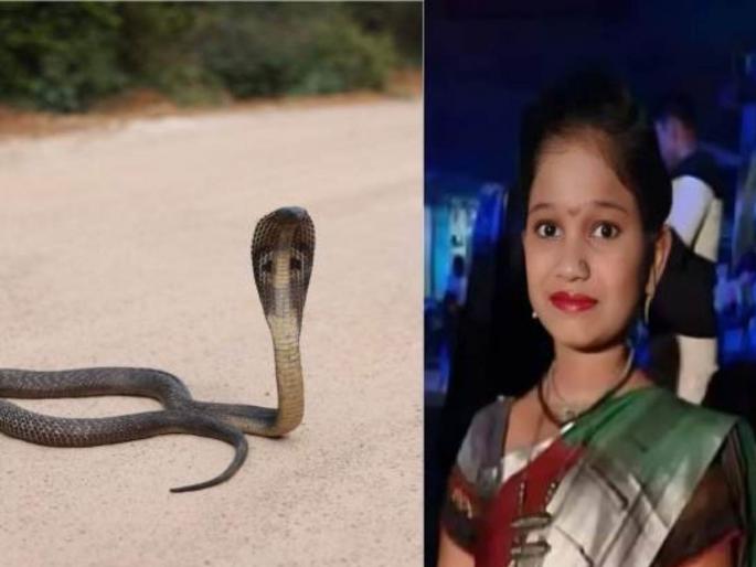 After Sarah's death, the sleeping administration wakes up; Officials were called to Alibaug | साराच्या मृत्यूनंतर झोपलेले प्रशासन जागे; अधिकाऱ्यांना अलिबागला बोलावले After Sarah's death, the sleeping administration wakes up; Officials were called to Alibaug | साराच्या मृत्यूनंतर झोपलेले प्रशासन जागे; अधिकाऱ्यांना अलिबागला बोलावले