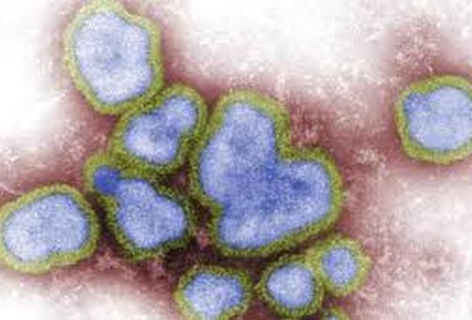 Buldana: Report of five patients with 'Saari' -like disease 'negative' | बुलडाणा: ‘सारी’ सदृश आजाराच्या पाच रुग्णांचे अहवाल ‘निगेटिव्ह’ Buldana: Report of five patients with 'Saari' -like disease 'negative' | बुलडाणा: ‘सारी’ सदृश आजाराच्या पाच रुग्णांचे अहवाल ‘निगेटिव्ह’