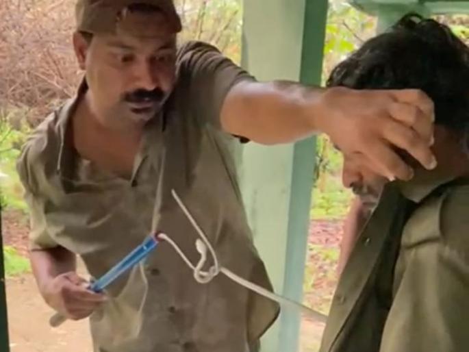a snake came out in the pocket of the gypsy driver in tadoba | बापरे बाप... चक्क जिप्सी चालकाच्या खिशात निघाला साप! a snake came out in the pocket of the gypsy driver in tadoba | बापरे बाप... चक्क जिप्सी चालकाच्या खिशात निघाला साप!