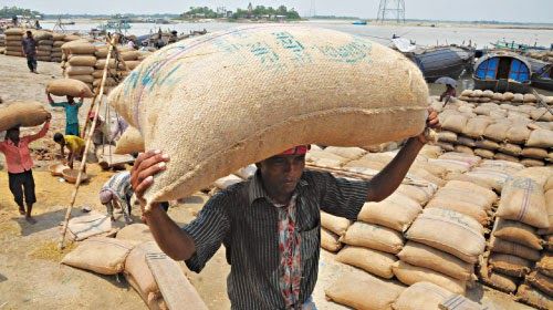 It is inhumane for a man to carry 100 kg bags | १०० किलो वजनाचे पोते माणसाने उचलणे अमानवीय It is inhumane for a man to carry 100 kg bags | १०० किलो वजनाचे पोते माणसाने उचलणे अमानवीय