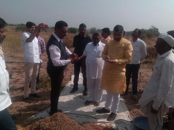 Minister of State for Agriculture Sadabhau Khot inspected crops in Washim district | कृषी राज्यमंत्री सदाभाऊ खोत यांनी वाशिम जिल्ह्यात केली हरभरा व तुर पिकांची पाहणी Minister of State for Agriculture Sadabhau Khot inspected crops in Washim district | कृषी राज्यमंत्री सदाभाऊ खोत यांनी वाशिम जिल्ह्यात केली हरभरा व तुर पिकांची पाहणी