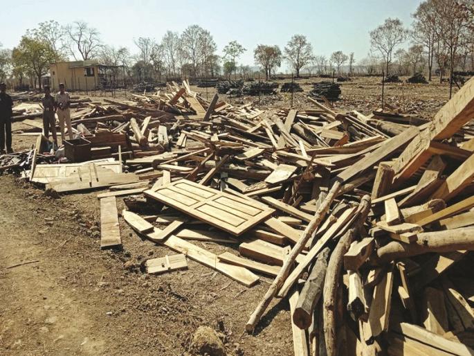 Forest Department's 'Operation Blue Moon'; 50 lakhs of seawak wood and furniture seized in chikhali | वनविभागाचे चिखलीत ‘आॅपरेशन ब्लू मून’; ५० लाखांचे सागवानी लाकूड व फर्निचर जप्त Forest Department's 'Operation Blue Moon'; 50 lakhs of seawak wood and furniture seized in chikhali | वनविभागाचे चिखलीत ‘आॅपरेशन ब्लू मून’; ५० लाखांचे सागवानी लाकूड व फर्निचर जप्त
