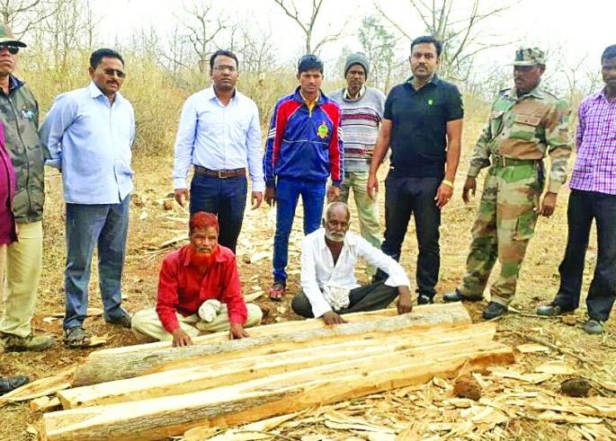 Two smugglers arrested; Forest Department's action! | दोन सागवान तस्करांना अटक; वन विभागाची कारवाई!