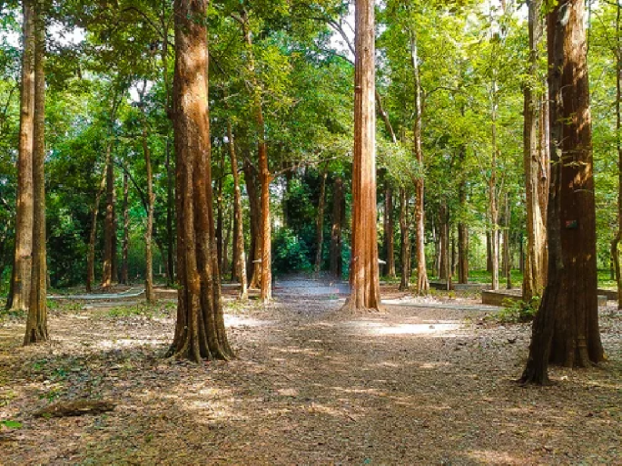 The signal of forest department teams coming; Smugglers leave teak on the spot in Telangana | वन विभागाचे पथक आल्याची कुणकुण; सागवान जागीच सोडून तस्करांचा तेलंगनात पोबारा The signal of forest department teams coming; Smugglers leave teak on the spot in Telangana | वन विभागाचे पथक आल्याची कुणकुण; सागवान जागीच सोडून तस्करांचा तेलंगनात पोबारा