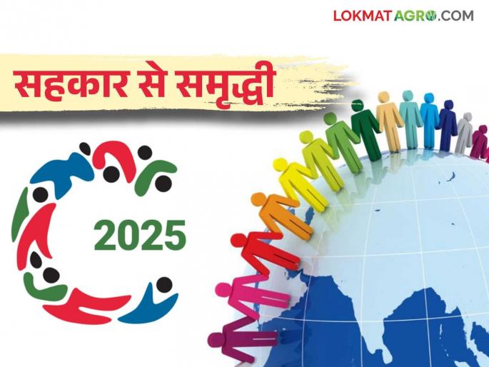 International Year of Cooperatives 2025 : The United Nations has decided to celebrate 2025 as the International Year of Cooperatives | International Year of Cooperatives 2025 : २०२५ हे आंतरराष्ट्रीय सहकार वर्ष म्हणून साजरे करण्याचा संयुक्त राष्ट्रांचा निर्णय International Year of Cooperatives 2025 : The United Nations has decided to celebrate 2025 as the International Year of Cooperatives | International Year of Cooperatives 2025 : २०२५ हे आंतरराष्ट्रीय सहकार वर्ष म्हणून साजरे करण्याचा संयुक्त राष्ट्रांचा निर्णय