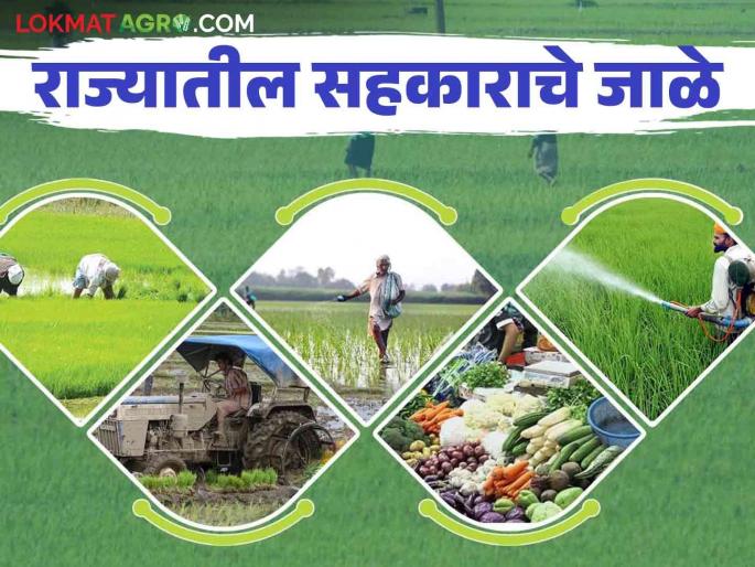 Sahakari Sanstha : Establishment of nine thousand twenty five hundred new cooperative societies in the state | Sahakari Sanstha : राज्यात सव्वानऊ हजार नव्या सहकारी संस्थांची स्थापना