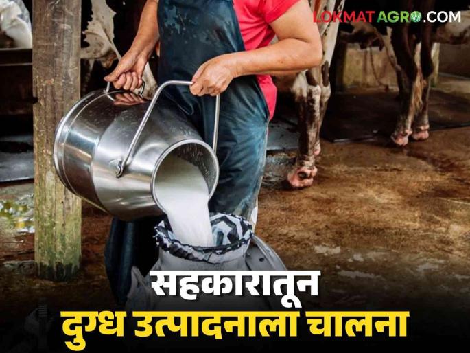 Milk production in Vidarbha will be developed through cooperation: Minister of State for Cooperation Dr. Bhoyar | सहकारातून विदर्भात दुग्धोत्पादनाचा विकास करणार : सहकार राज्यमंत्री डॉ. भोयर