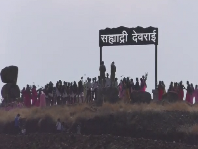 The first World Tree Sanmelana began in Beed's Sahyadri Devrai | पहिल्या जागतिक वृक्ष संमेलनाची उत्साहात झाली सुरुवात  The first World Tree Sanmelana began in Beed's Sahyadri Devrai | पहिल्या जागतिक वृक्ष संमेलनाची उत्साहात झाली सुरुवात