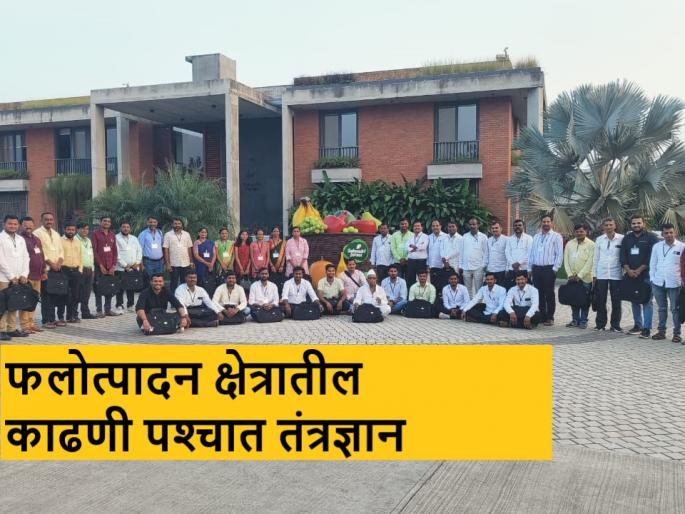 Latest News Training in Horticulture Post Harvest Technology at Sahyadri Farms | फलोत्पादन क्षेत्रात काढणी पश्‍चात तंत्रज्ञान महत्वाचं का? सह्याद्री फार्म्सला शेतकऱ्यांचं प्रशिक्षण 