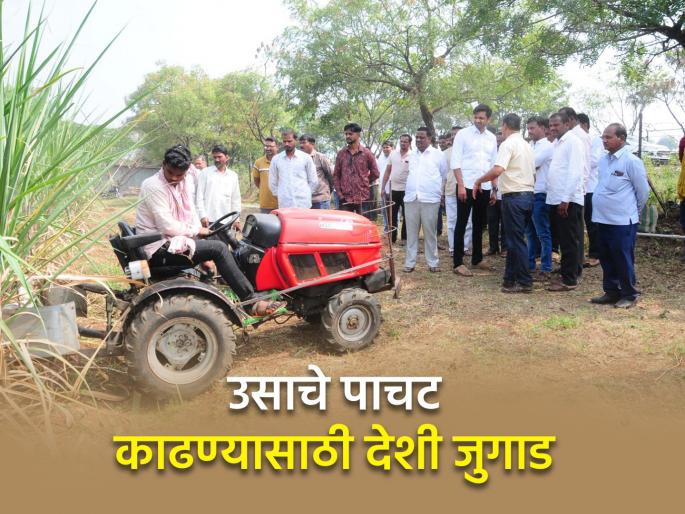 Yedemachchindra's Sai made a native sugarcane trash remover machine | येडेमच्छिंद्रच्या साईने तयार केले उसाचे पाचट काढणारे देशी यंत्र Yedemachchindra's Sai made a native sugarcane trash remover machine | येडेमच्छिंद्रच्या साईने तयार केले उसाचे पाचट काढणारे देशी यंत्र