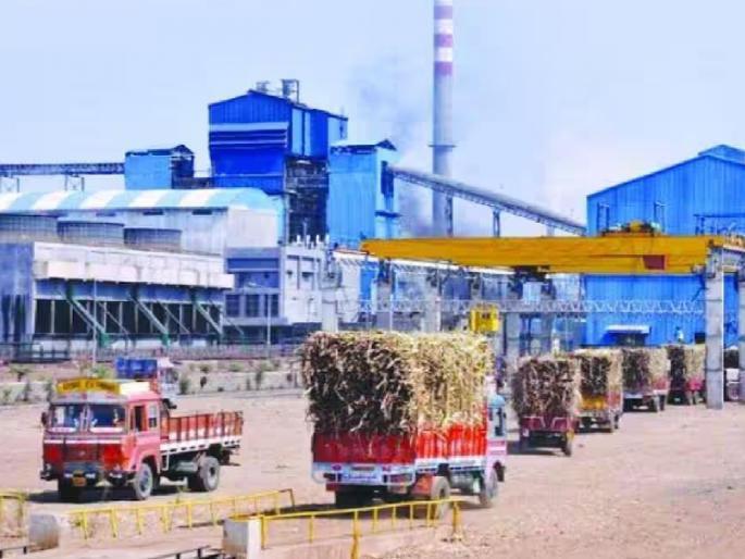 Decision to pay a lump sum of 3175 rupees to the sugarcane price in Sangli district | ..अखेर सांगली जिल्ह्यात ऊसदराची कोंडी फुटली, एकरकमी ३१७५ रुपये देण्याचा निर्णय Decision to pay a lump sum of 3175 rupees to the sugarcane price in Sangli district | ..अखेर सांगली जिल्ह्यात ऊसदराची कोंडी फुटली, एकरकमी ३१७५ रुपये देण्याचा निर्णय