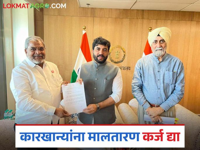 Provide low-interest loans to sugar factories from NABARD; Raju Shetty's demand to the central government | साखर कारखान्यांना ‘नाबार्ड’ कडून अल्पव्याजाने कर्जपुरवठा करा; राजू शेट्टी यांची केंद्र सरकारकडे मागणी Provide low-interest loans to sugar factories from NABARD; Raju Shetty's demand to the central government | साखर कारखान्यांना ‘नाबार्ड’ कडून अल्पव्याजाने कर्जपुरवठा करा; राजू शेट्टी यांची केंद्र सरकारकडे मागणी