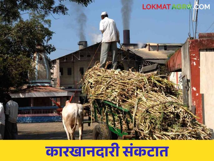 Sugar control order for sugar mills.. What is in this order? Read in detail | साखर कारखान्यांसाठी साखर नियंत्रण आदेश.. काय आहे या आदेशात? वाचा सविस्तर Sugar control order for sugar mills.. What is in this order? Read in detail | साखर कारखान्यांसाठी साखर नियंत्रण आदेश.. काय आहे या आदेशात? वाचा सविस्तर