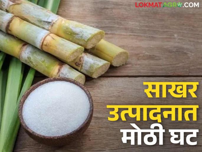So far, 177 sugar factories in the country have closed; How much sugar has been produced? | आतापर्यंत देशातील १७७ साखर कारखाने बंद; किती झाले साखर उत्पादन?