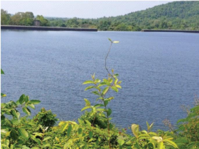 94 lakh water bills due to 18 gram panchayats in Dahanu; Deduction order of water supply department | डहाणूत १८ ग्रामपंचायतींकडे ९४ लाख पाणीबिल थकीत; पाणीपुरवठा विभागाचे कपातीचे आदेश 94 lakh water bills due to 18 gram panchayats in Dahanu; Deduction order of water supply department | डहाणूत १८ ग्रामपंचायतींकडे ९४ लाख पाणीबिल थकीत; पाणीपुरवठा विभागाचे कपातीचे आदेश