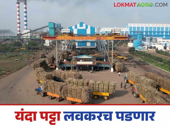 Us Galap : Sugarcane crushing poses a big challenge to factories; will have to pay higher rates | Us Galap : कारखान्यांसमोर ऊस गाळपाचे मोठे आव्हान; द्यावा लागणार जादा दर Us Galap : Sugarcane crushing poses a big challenge to factories; will have to pay higher rates | Us Galap : कारखान्यांसमोर ऊस गाळपाचे मोठे आव्हान; द्यावा लागणार जादा दर