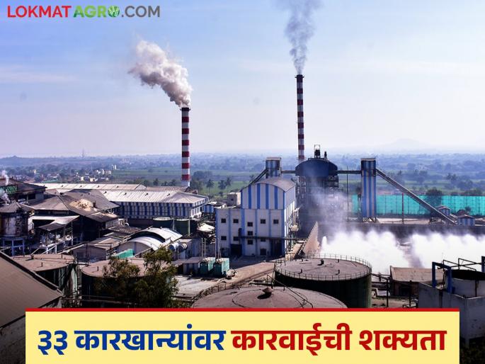 33 sugar factories in the state on the Sugar Commissioner's radar for not paying sugarcane frp; What action will be taken? | उसाचे पैसे न देणारे राज्यातील ३३ कारखाने साखर आयुक्तांच्या रडारवर; काय होणार कारवाई? 33 sugar factories in the state on the Sugar Commissioner's radar for not paying sugarcane frp; What action will be taken? | उसाचे पैसे न देणारे राज्यातील ३३ कारखाने साखर आयुक्तांच्या रडारवर; काय होणार कारवाई?