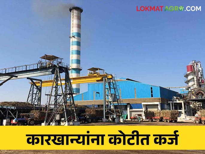 Loans of 1,898 crores have been approved for these cooperative sector sugar mills in the state which are in the difficulty | राज्यातील अडचणीत असलेल्या या साखर कारखान्यांना १,८९८ कोटींचे कर्ज मंजूर Loans of 1,898 crores have been approved for these cooperative sector sugar mills in the state which are in the difficulty | राज्यातील अडचणीत असलेल्या या साखर कारखान्यांना १,८९८ कोटींचे कर्ज मंजूर