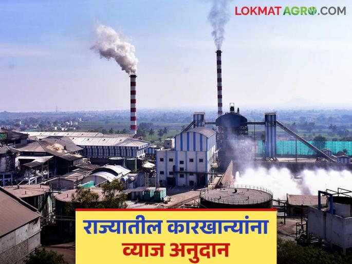 These factories in the state will get interest subsidy on loans to pay the farmers' FRP amount | शेतकऱ्यांच्या एफआरपीची रक्कम देण्यासाठी राज्यातील या कारखान्यांना कर्जावर व्याज अनुदान मिळणार These factories in the state will get interest subsidy on loans to pay the farmers' FRP amount | शेतकऱ्यांच्या एफआरपीची रक्कम देण्यासाठी राज्यातील या कारखान्यांना कर्जावर व्याज अनुदान मिळणार