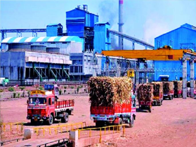Number one in Solapur State in sugarcane crushing | ऊस गाळपात राज्यात ‘सोलापूर’च भारी, कोल्हापूर जिल्ह्यातील ‘जवाहर’ कारखाना अव्वल Number one in Solapur State in sugarcane crushing | ऊस गाळपात राज्यात ‘सोलापूर’च भारी, कोल्हापूर जिल्ह्यातील ‘जवाहर’ कारखाना अव्वल