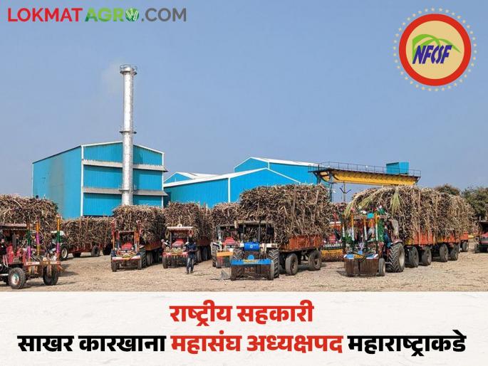 Harshvardhan Patil is the new president of the National Cooperative Sugar Federation and Ketanbhai Patel is the vice president | राष्ट्रीय सहकारी साखर महासंघाचे नवे अध्यक्ष हर्षवर्धन पाटील तर उपाध्यक्ष केतनभाई पटेल Harshvardhan Patil is the new president of the National Cooperative Sugar Federation and Ketanbhai Patel is the vice president | राष्ट्रीय सहकारी साखर महासंघाचे नवे अध्यक्ष हर्षवर्धन पाटील तर उपाध्यक्ष केतनभाई पटेल