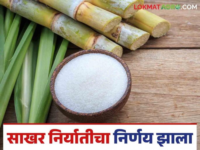 Farmers sugarcane payment easy cleared; Central government allows export of 1 million tones of sugar | शेतकऱ्यांच्या ऊस बिलाचा मार्ग मोकळा; केंद्र सरकारने १० लाख टन साखर निर्यातीला दिली परवानगी Farmers sugarcane payment easy cleared; Central government allows export of 1 million tones of sugar | शेतकऱ्यांच्या ऊस बिलाचा मार्ग मोकळा; केंद्र सरकारने १० लाख टन साखर निर्यातीला दिली परवानगी