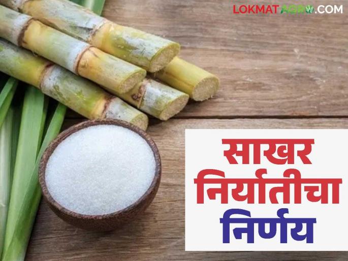 Sakhar Niryat : Decision on one million tons of sugar export today; How to get price for exported sugar? | Sakhar Niryat : दहा लाख टन साखर निर्यातीचा आज निर्णय; कसा मिळणार निर्यात साखरेला दर? Sakhar Niryat : Decision on one million tons of sugar export today; How to get price for exported sugar? | Sakhar Niryat : दहा लाख टन साखर निर्यातीचा आज निर्णय; कसा मिळणार निर्यात साखरेला दर?