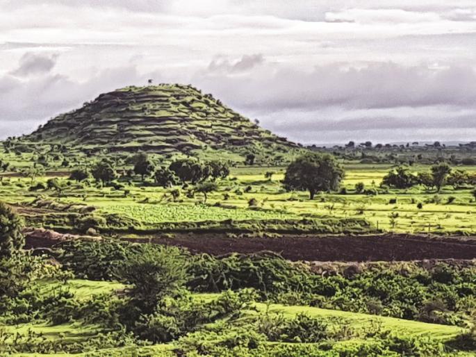 Saklai, the hilltop of Kongjai is covered with greenery | साकळाई, कोंगजाईचा डोंगरमाथा हिरवाईने नटला Saklai, the hilltop of Kongjai is covered with greenery | साकळाई, कोंगजाईचा डोंगरमाथा हिरवाईने नटला