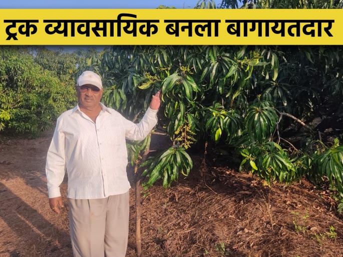 Truck driver became obsessed with agriculture; Doing profitable mango, cashew farming | ट्रक ड्रायवरला लागलं शेतीचं वेड; करत आहे आंबा, काजूची फायदेशीर शेती