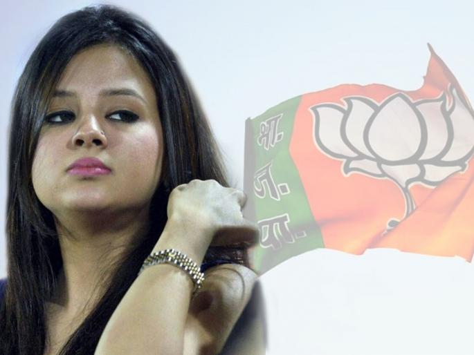 Sakshi Dhoni slams Jharkhand govt on zero power cut claim, complains of erratic power supply | भाजप सरकारचा 'तो' दावा धोनीच्या पत्नीनं ठरवला चुकीचा; सोशल मीडियावर केली नाराजी प्रकट