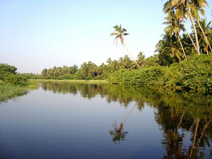 GOA GOVT. TO SPENT 42 CRORES FOR COUNTROLLING POLLUTION OF SAL RIVER | साळ नदीच्या शुद्धीकरणासाठी गोवा सरकारची 42 कोटींची उपाययोजना GOA GOVT. TO SPENT 42 CRORES FOR COUNTROLLING POLLUTION OF SAL RIVER | साळ नदीच्या शुद्धीकरणासाठी गोवा सरकारची 42 कोटींची उपाययोजना