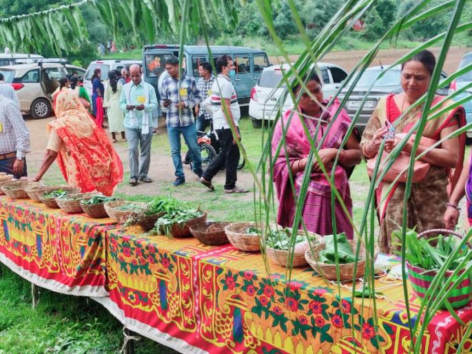 Innovative tastes at Salaiban Ranbhaji Mahotsav | सालईबन रानभाजी महोत्सवात नाविण्यपुर्ण चवींची भुरळ  Innovative tastes at Salaiban Ranbhaji Mahotsav | सालईबन रानभाजी महोत्सवात नाविण्यपुर्ण चवींची भुरळ