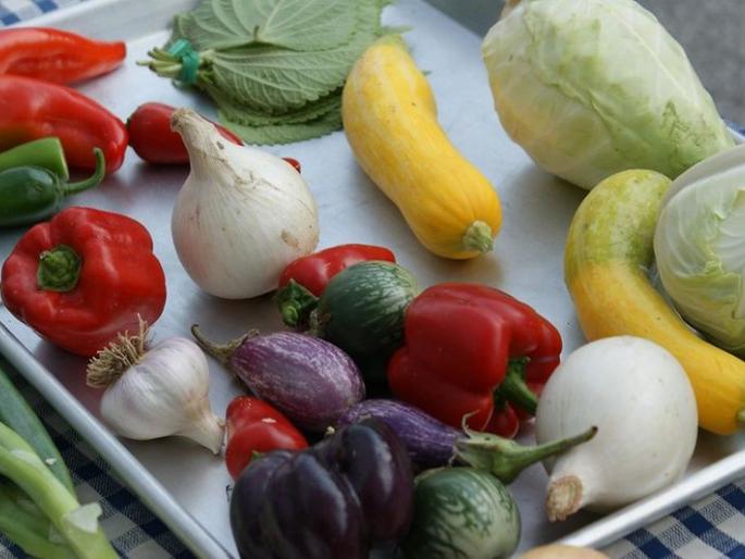 2.50 crore proposal for sales center for organic vegetables | सेंद्रीय भाजीपाला विक्री केंद्रासाठी २.५० कोटींचा प्रस्ताव 2.50 crore proposal for sales center for organic vegetables | सेंद्रीय भाजीपाला विक्री केंद्रासाठी २.५० कोटींचा प्रस्ताव