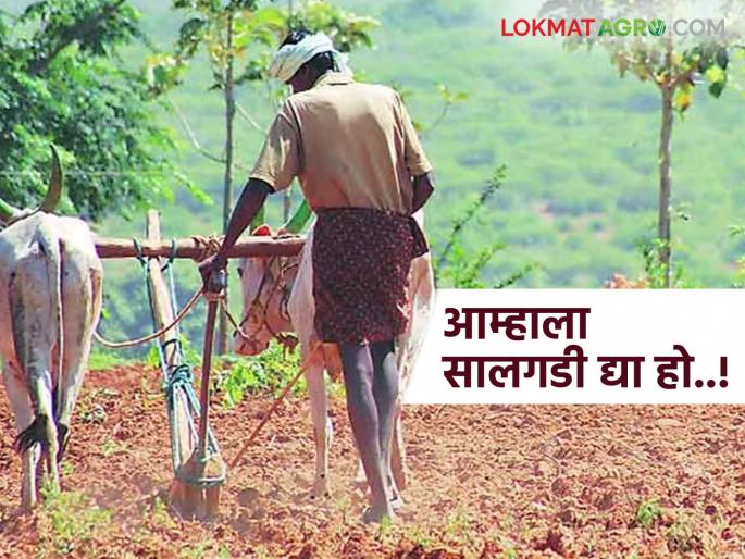 Salgadi: latest news This year, the Salgadi was not decided and no laborers were found; What is the reason? Read in detail | Salgadi : यंदा सालगडी ठरेना अन् मजूरही मिळेना; काय आहे कारण वाचा सविस्तर Salgadi: latest news This year, the Salgadi was not decided and no laborers were found; What is the reason? Read in detail | Salgadi : यंदा सालगडी ठरेना अन् मजूरही मिळेना; काय आहे कारण वाचा सविस्तर