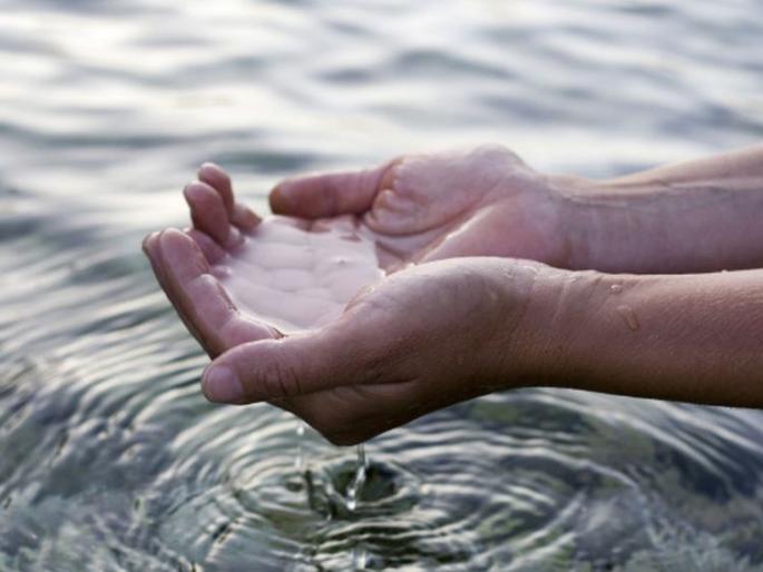 Saline Track area Drinking water severely impacts animals, animals! | खारपाणपट्ट्यातील पाण्यामुळे पशू,प्राण्यांवर गंभीर परिणाम!