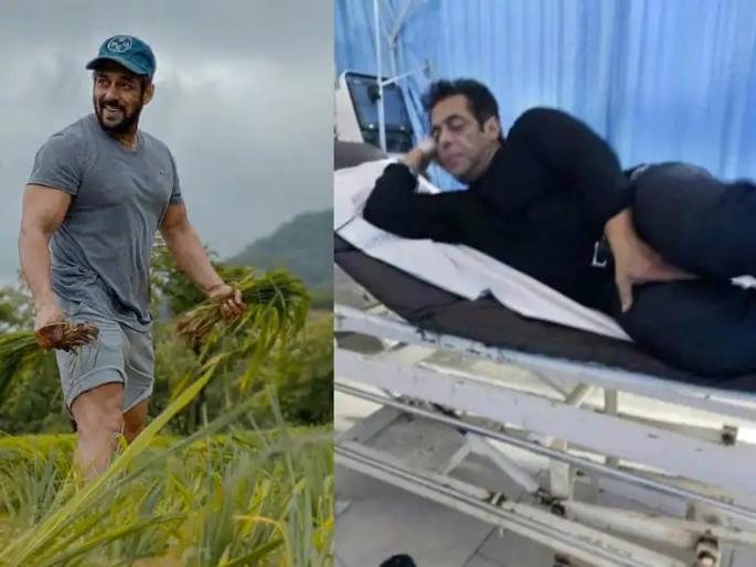 salman khan reveals snake bites him three times salman khan tells the whole incident | Salman Khan Snake Bite : 'एकदा नाही, तर तीन वेळा सापाने दंश केला', खुद्द सलमान खाननं सांगितलं नक्की काय घडलं... salman khan reveals snake bites him three times salman khan tells the whole incident | Salman Khan Snake Bite : 'एकदा नाही, तर तीन वेळा सापाने दंश केला', खुद्द सलमान खाननं सांगितलं नक्की काय घडलं...