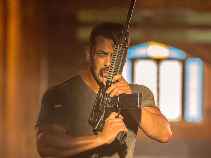 BlackBuck Poaching Case: Salman Khan can get bail for these reasons | BlackBuck Poaching Case : या कारणांमुळे सलमान खानला मिळू शकतो जामीन  BlackBuck Poaching Case: Salman Khan can get bail for these reasons | BlackBuck Poaching Case : या कारणांमुळे सलमान खानला मिळू शकतो जामीन