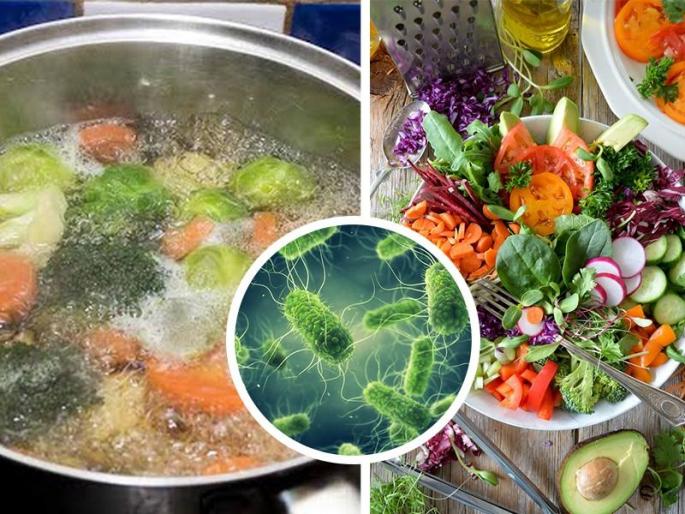 Salmonella spreads rapidly in the United States by eating contaminated food, what is this new dangerous disease? | दूषित खाद्यपदार्थ खाऊन अमेरिकेत झपाट्यानं पसरला साल्मोनेला आजार, हा नवा डेंजर आजार काय आहे?