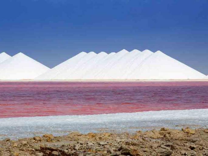 Cancel the proposal to construct the land for the sweetener; Congress Demand | मिठागरांच्या जमिनींवर बांधकाम करण्याचा प्रस्ताव त्वरित रद्द करा; काँग्रेसची मागणी Cancel the proposal to construct the land for the sweetener; Congress Demand | मिठागरांच्या जमिनींवर बांधकाम करण्याचा प्रस्ताव त्वरित रद्द करा; काँग्रेसची मागणी