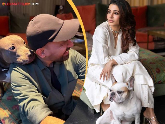 Samantha Ruth Prabhu fell in love again after 4 years of divorce?, said - ''A new beginning..'' | घटस्फोटाच्या ४ वर्षांनंतर समांथा रुथ प्रभू पुन्हा पडली प्रेमात?, म्हणाली - "नवीन सुरूवात.." Samantha Ruth Prabhu fell in love again after 4 years of divorce?, said - ''A new beginning..'' | घटस्फोटाच्या ४ वर्षांनंतर समांथा रुथ प्रभू पुन्हा पडली प्रेमात?, म्हणाली - "नवीन सुरूवात.."