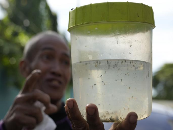 Alive or dead! Bring 5 mosquitoes and take the money; Why did philippines country start a strange campaign? | जिंदा या मुर्दा! ५ मच्छर आणून द्या अन् पैसे घेऊन जा ; 'या' देशानं अजब मोहीम का सुरू केली?