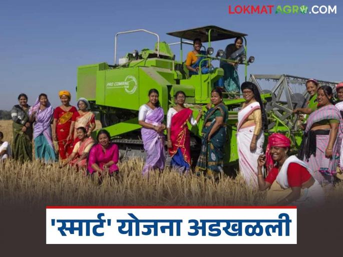 latest news Smart Project: Projects of 50 farmer companies stalled; Read the reason in detail | Smart Project : ५० शेतकरी कंपन्यांचे प्रकल्प रखडले; काय आहे कारण वाचा सविस्तर latest news Smart Project: Projects of 50 farmer companies stalled; Read the reason in detail | Smart Project : ५० शेतकरी कंपन्यांचे प्रकल्प रखडले; काय आहे कारण वाचा सविस्तर